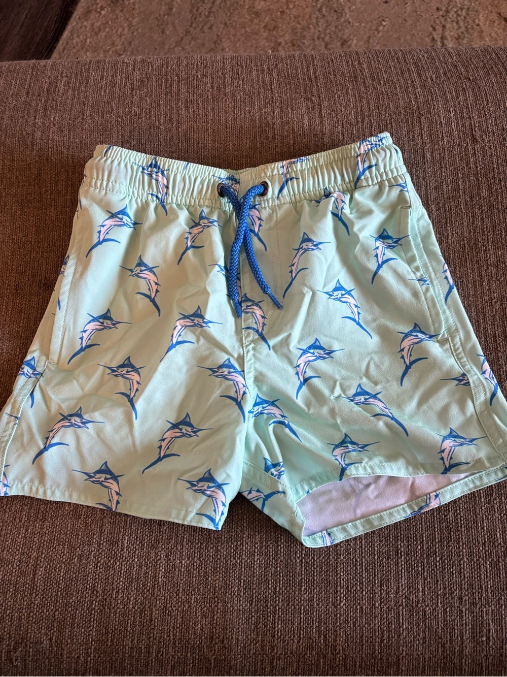 Class Club Mint Green Marlin Swim Shorts with Blue Accents
